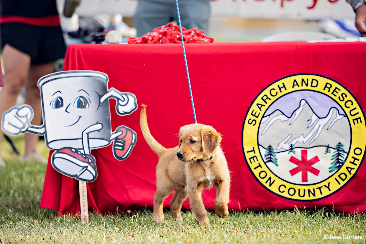 Tin Cup Challenge celebration in Teton Valley