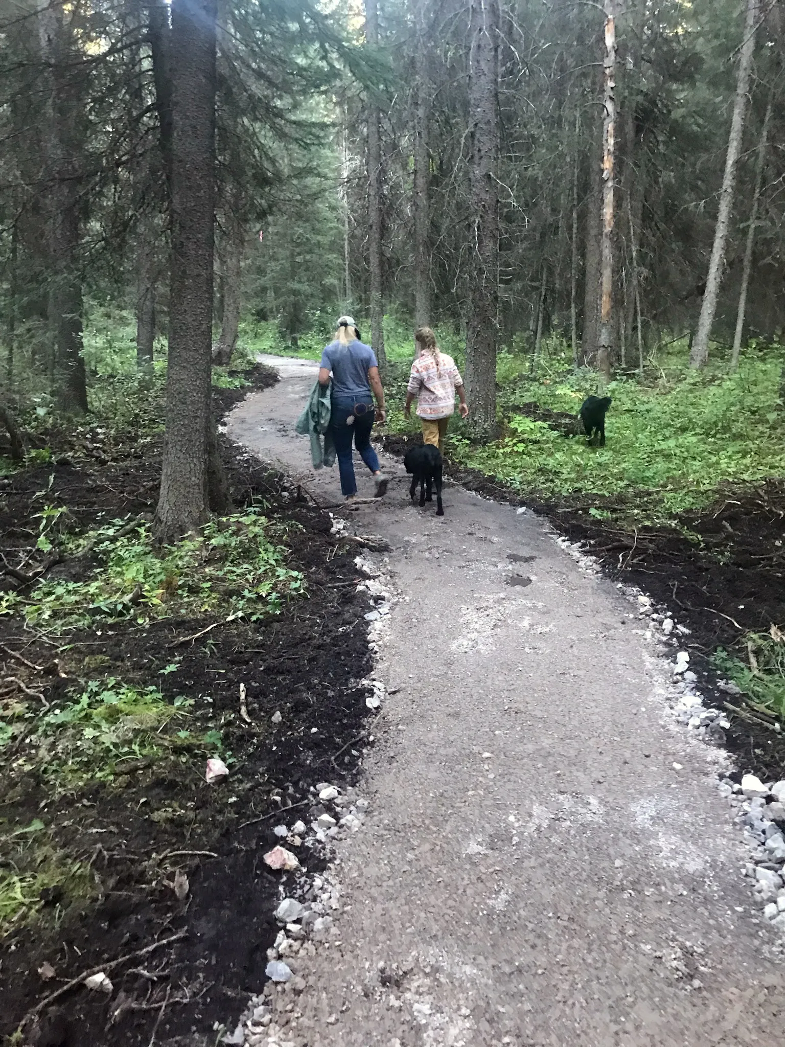 Completed section of the Northside Trail in Teton Canyon
