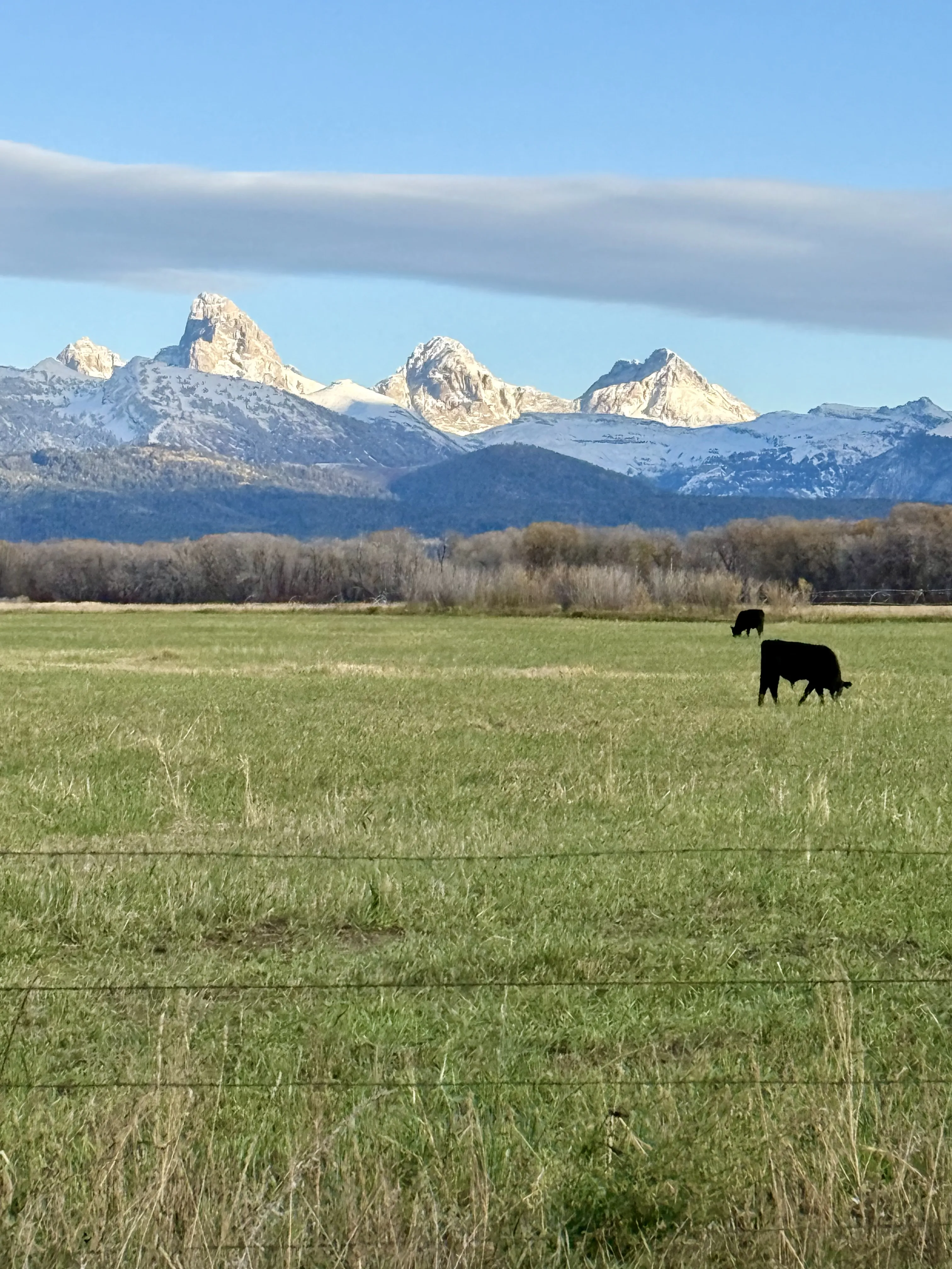 Community members at a Teton Valley Foundation event