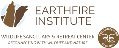 Earthfire Institute logo
