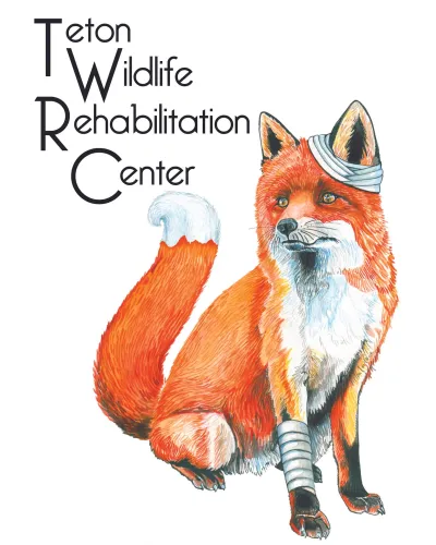 Teton Wildlife Rehabilitation Center logo